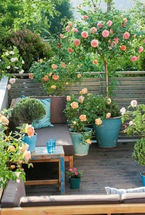 为什么一样是阳台，到别人家那里就成了花园？初级园丁修炼手册！